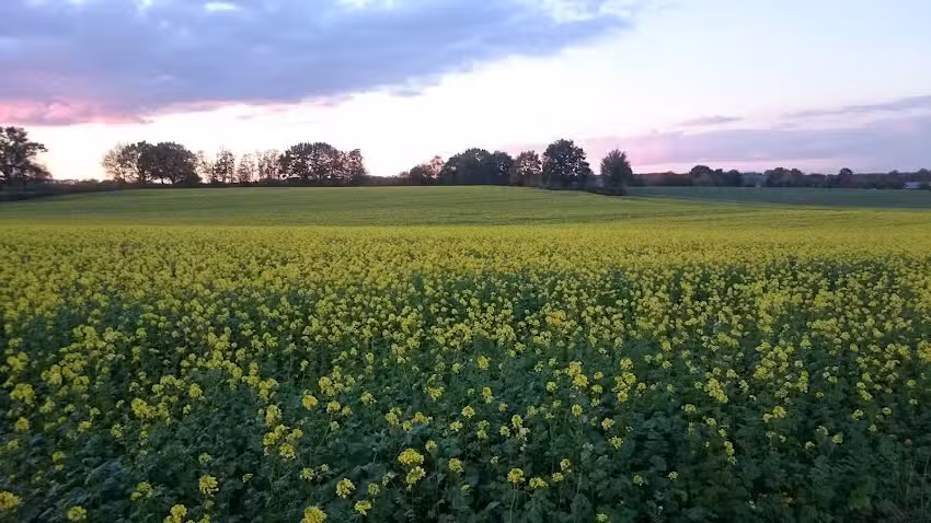 Meinrad Wessel Immobilien Wessel