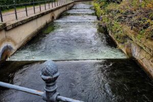 Memminger Wohnungsbau eG