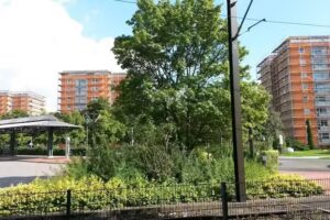 MF Immobilien- und Finanz- vermittlungs GmbH