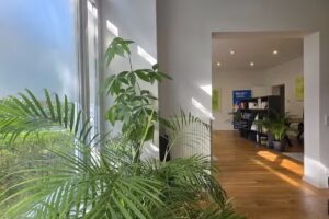 Mochow Immobilien GmbH – Immobilienmakler Berlin