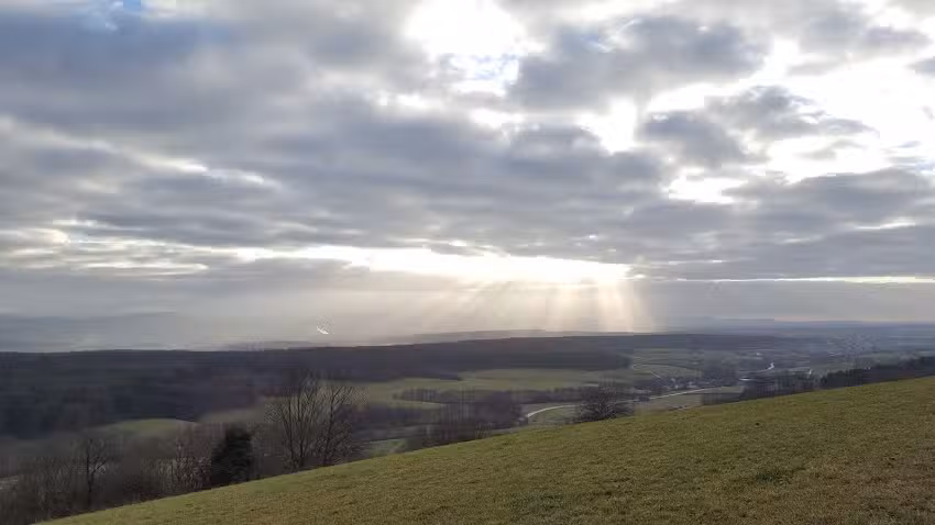 Moldaschl Vermietungen GmbH