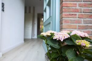 Moltschanow Immobilien