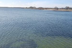 Monteurwohnungen Kiel Wellingdorf – Gästehaus