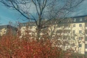 Mosch Marketing & Immobilienservice