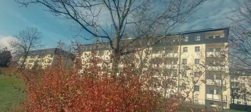 Mosch Marketing & Immobilienservice