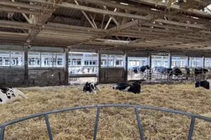 Mühlenhof Agrar GmbH & Co. KG