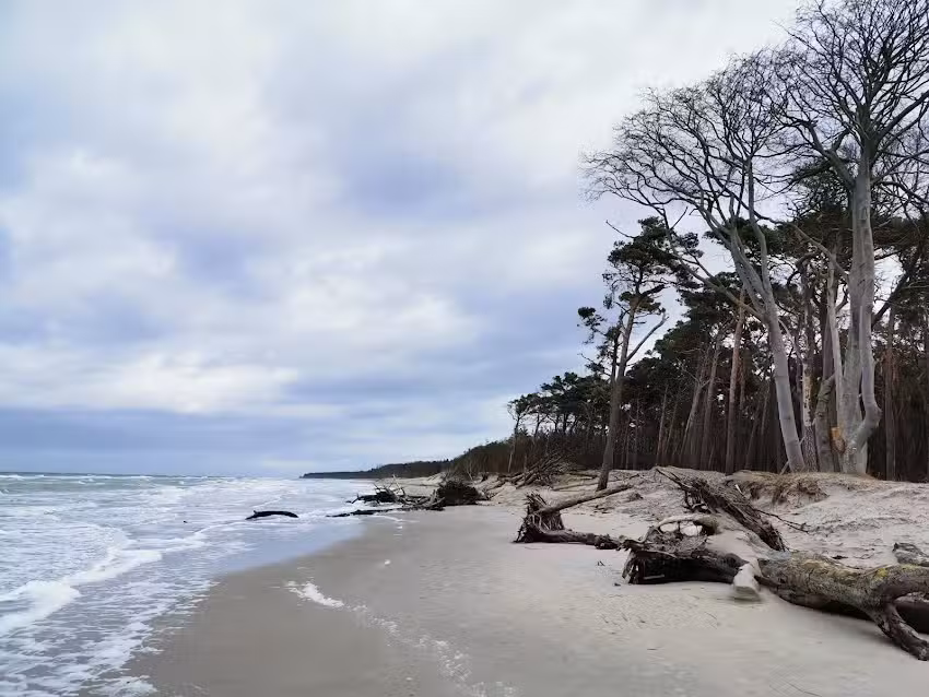 Mühlenstraße Hartmann