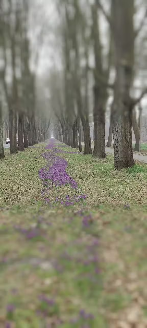 Müller & Bremermann Immobilien GmbH & Co. KG