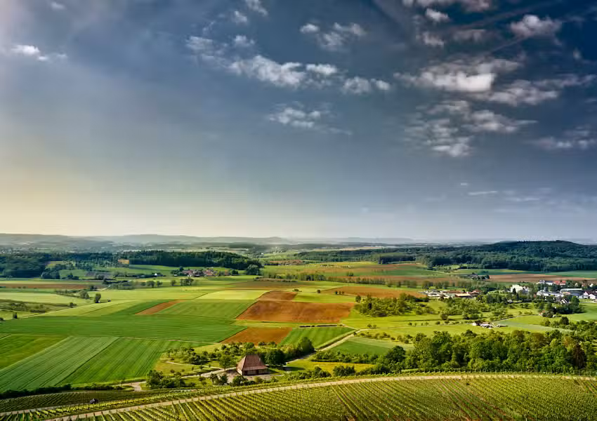 Murrtal Werte GmbH – Immobilien | Vermögen | Unternehmen