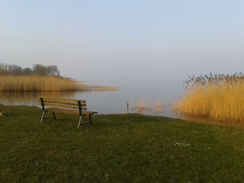 MV Bohrimmobilien