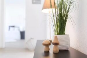 neue RÄUME Home Staging