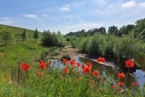 Nießing Hausverwaltung GmbH