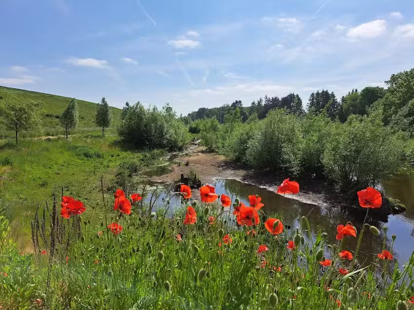 Nießing Hausverwaltung GmbH
