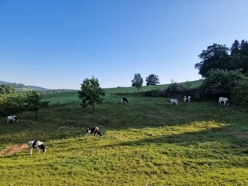 Odenwald Lounge im Naturpark Bergstraße-Odenwald