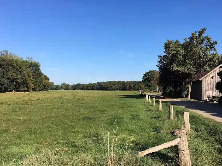 Oldenburger Bettenbörse