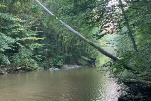 Op vakantie in de Harz