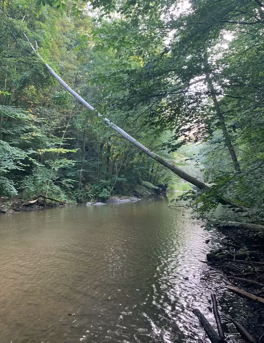 Op vakantie in de Harz