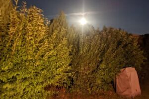 Ostseeferienhaus Rasch – Iverslund