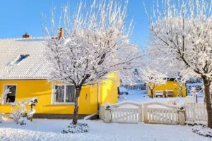 Ostseetraum Immobilien UG