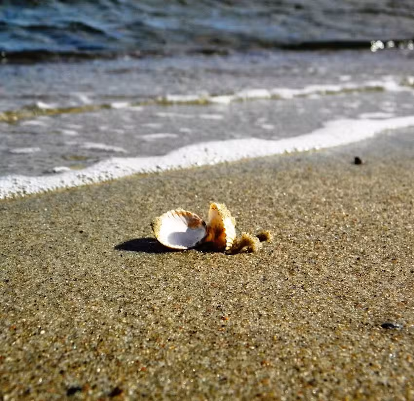 Ostseeurlaub Ferienhof Becker