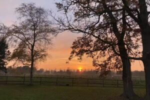 Otersen Immobilien GmbH