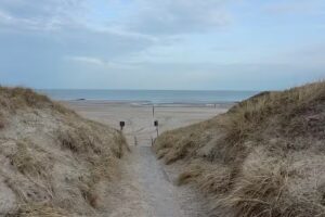 Packebusch Ferienwohnungen