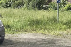 „Peach Point Gelsenkirchen“ Peach Hausverwaltungen GmbH