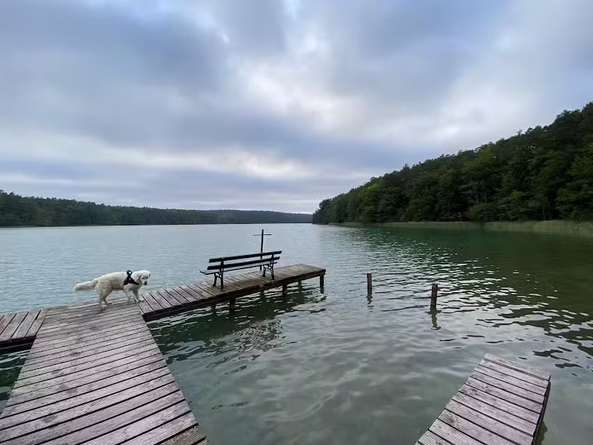 Pension & Ferienanlage am Zenssee – Ramona Amelow