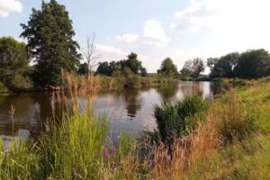 Pension Storchennest