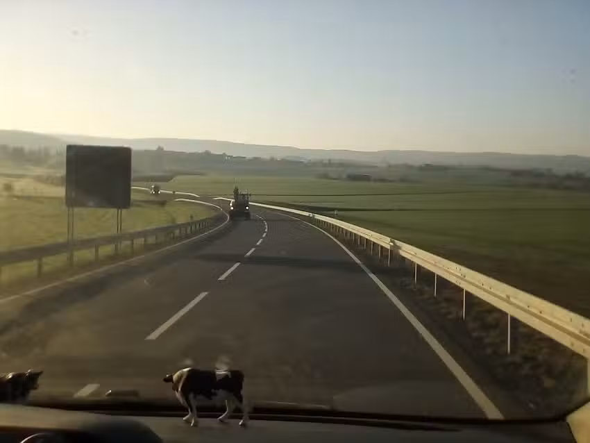 Peter Enders Vieh- und Fleischhandels GmbH