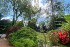 Plinke & Cie Immobilienberatung