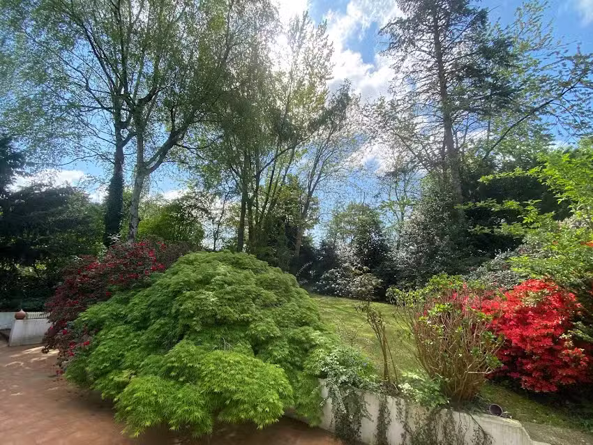 Plinke & Cie Immobilienberatung