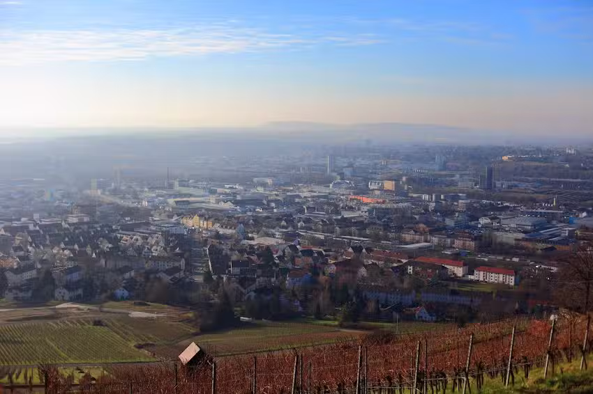 PMI Promak Immobilien