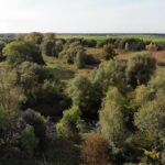 possiel immobilien concepte