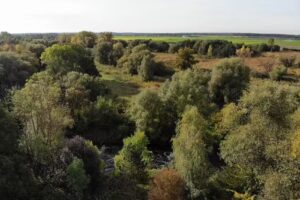 possiel immobilien concepte