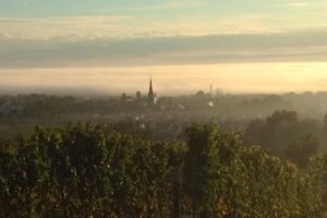 PREMIUM GRUNDSTÜCK SPEZIALISTEN