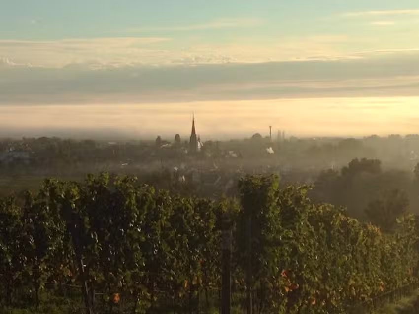 PREMIUM GRUNDSTÜCK SPEZIALISTEN