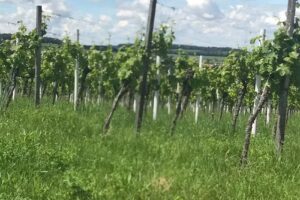 Private Ferienwohnung in Löwenstein Familie Schoch