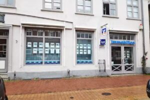 Raiffeisen Immobilien GmbH