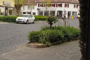 Raiffeisenbank Bad Schussenried-Aulendorf eG, Geschäftsstelle Ingoldingen