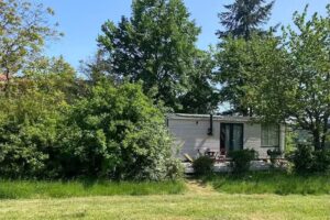 Rauszeit Tinyhouse in der Natur