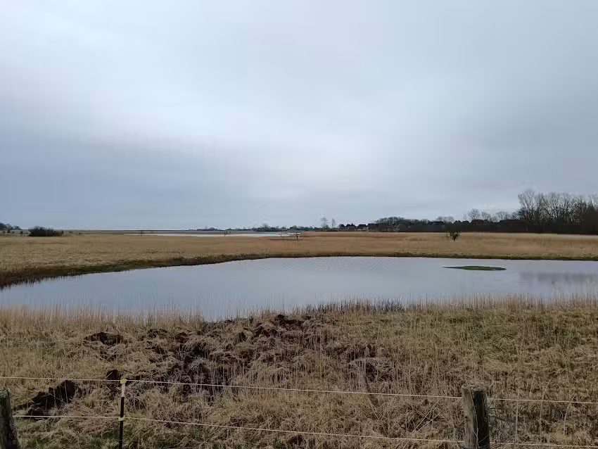 Reetdorf Geltinger Birk