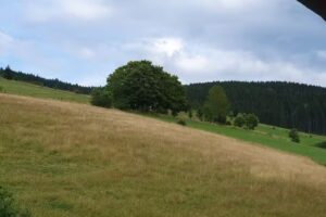 Reit- und Ferienhof Schmidt-Köss