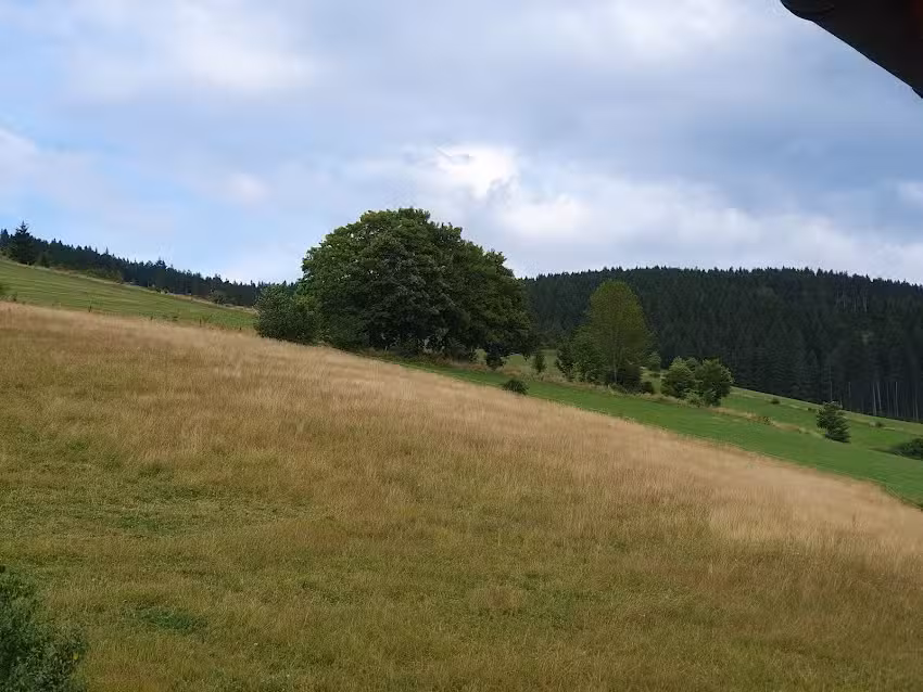 Reit- und Ferienhof Schmidt-Köss