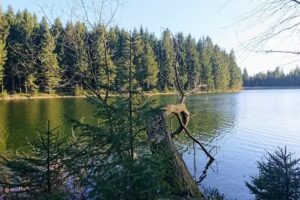 Residenz St. Florian