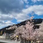 rf immobilien Rüdiger Friedrich