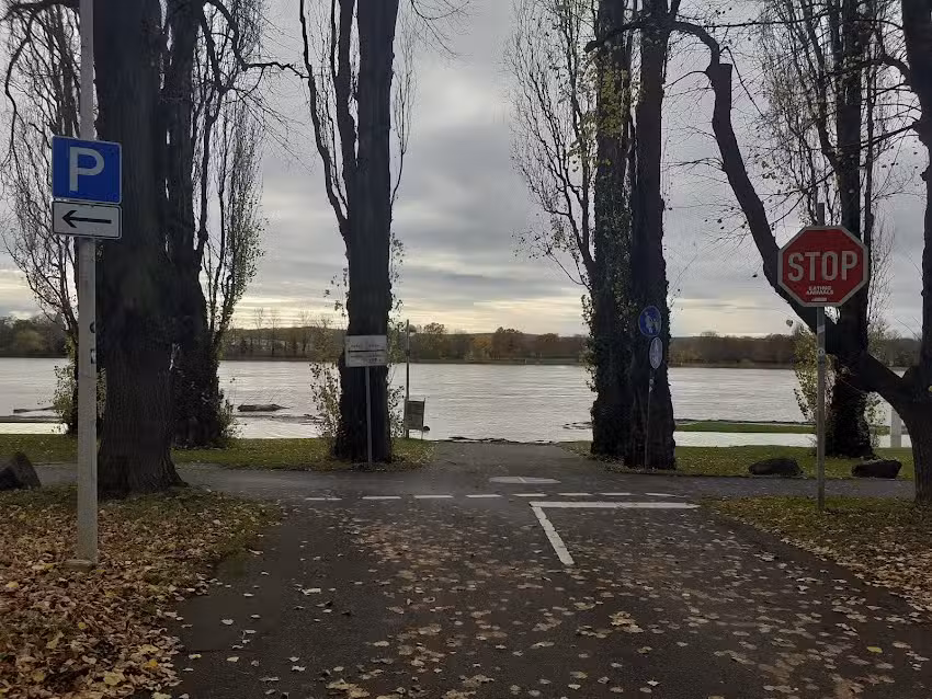 Rhein-Palais Bonn