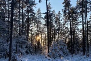 Rhöner Ferienwohnung – Torsten Ahnemüller