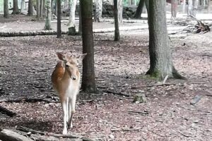 Richert & Co. Immobilien GmbH