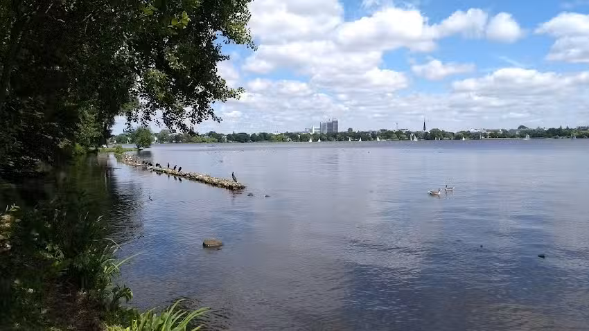 Robert Vogel GmbH & Co Kommanditgesellschaft